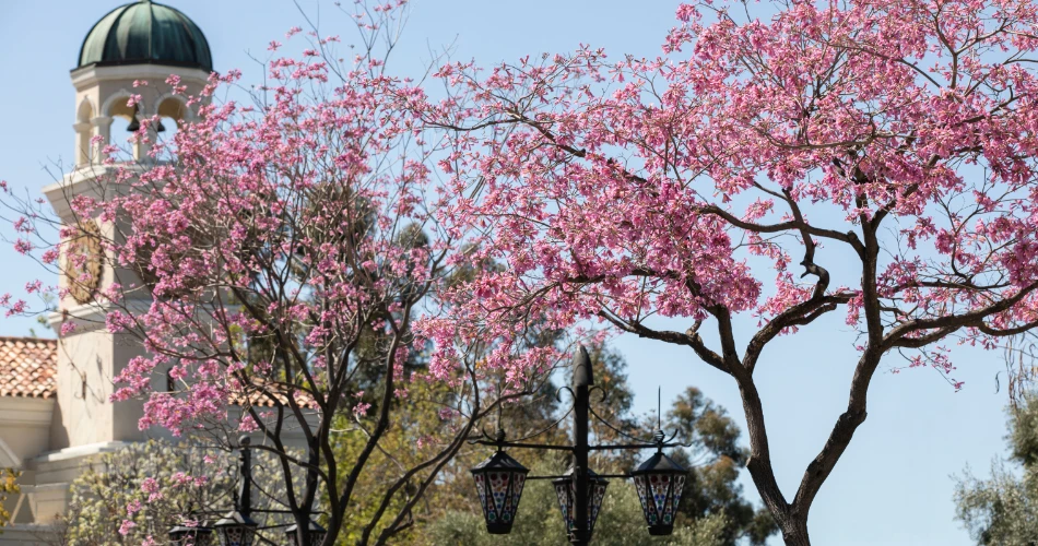Best Places to Visit in Thousand Oaks for First-Time Travelers