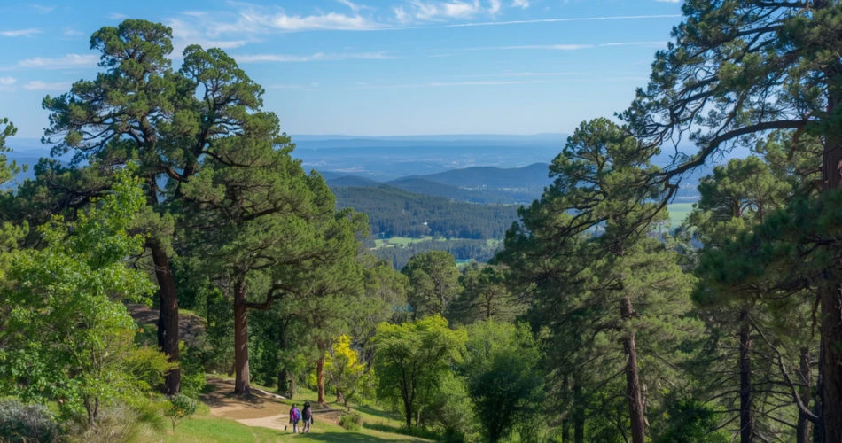 Top Hiking Trails, Parks & Scenic Escapes in Thousand Oaks
