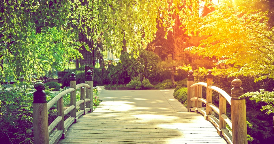 Top Hiking Trails, Parks & Scenic Escapes in Thousand Oaks